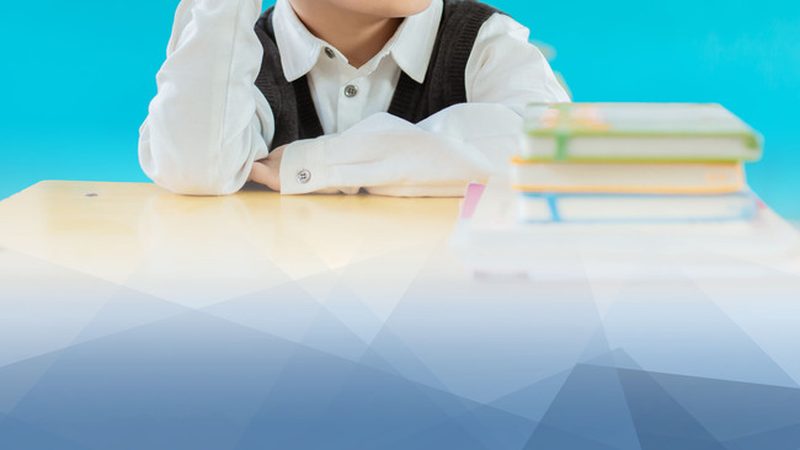 靠谱机构的特征：从证书到师资，全方位考量