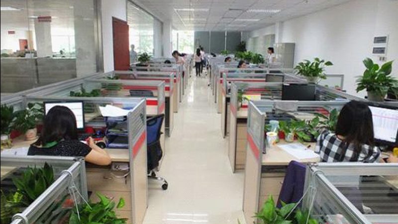 成人高考成绩查询：轻松几步，掌握你的成绩动态